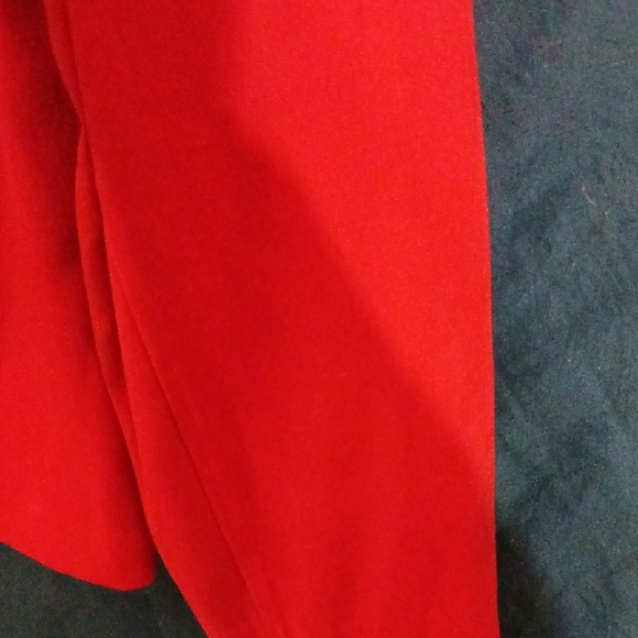 Requirements Bold Red Blazer - Picture 7 of 9